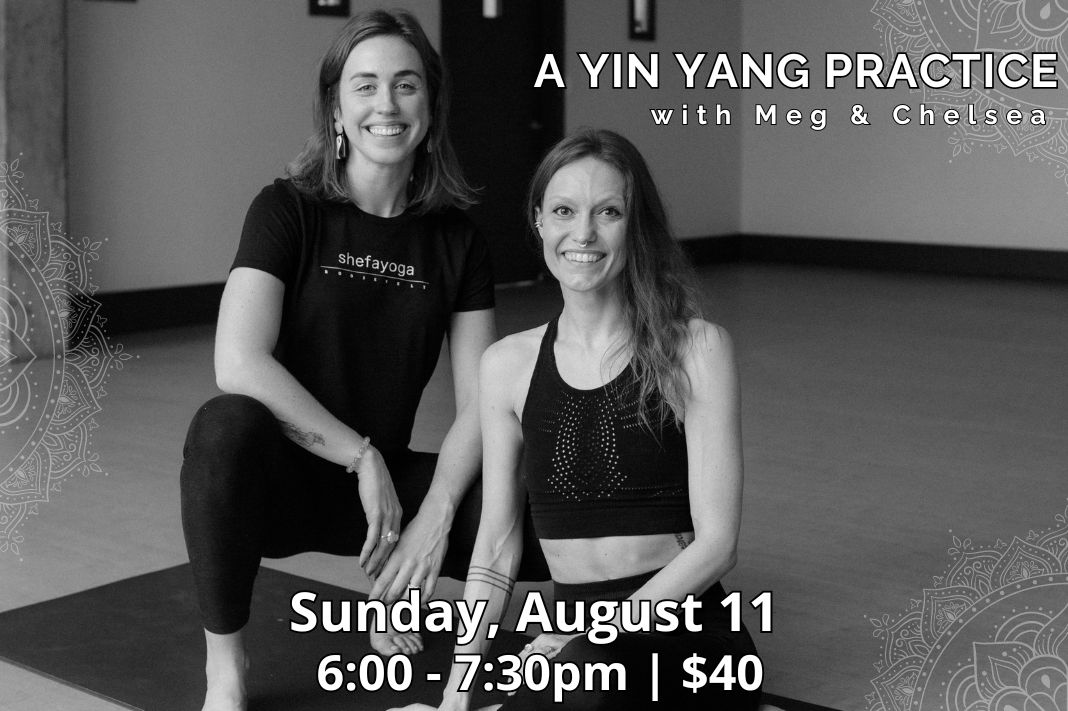 yin yang shefayoga